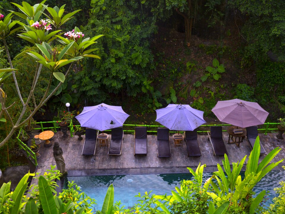 Spa relax tropical