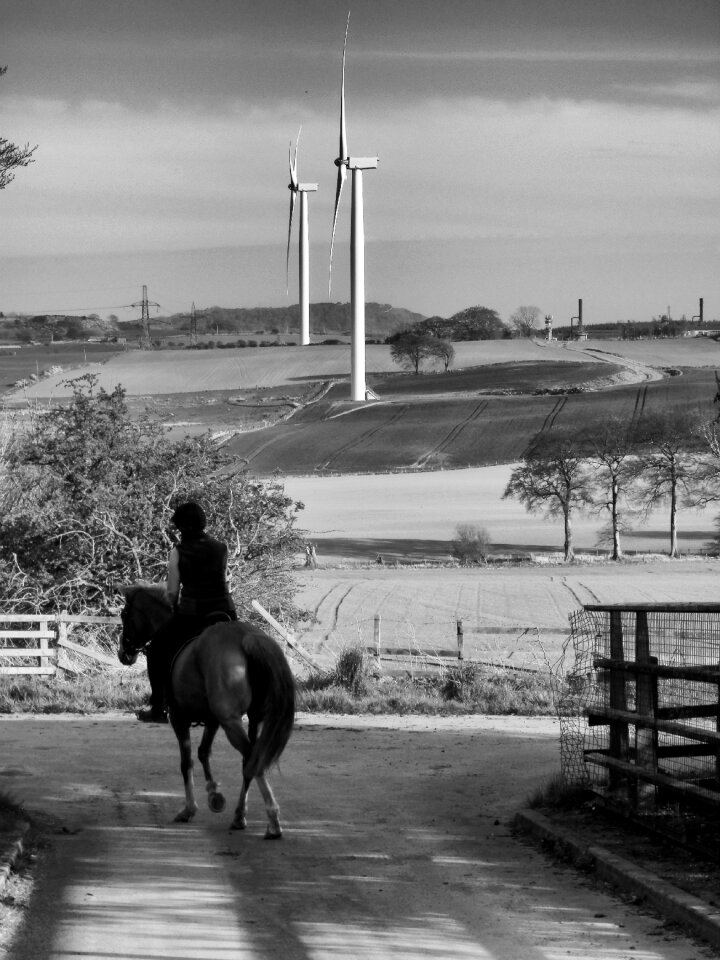 Landscape black white