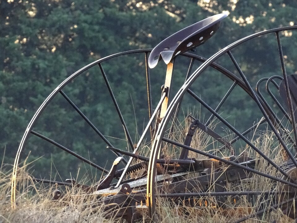 Morning dew agricultural tool antique