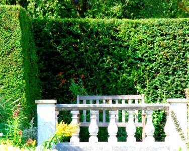 Stone fences hedge