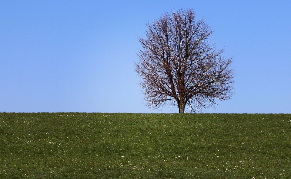 Field sky blue