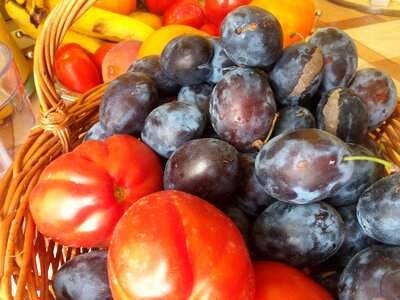 Plumps tomatoes