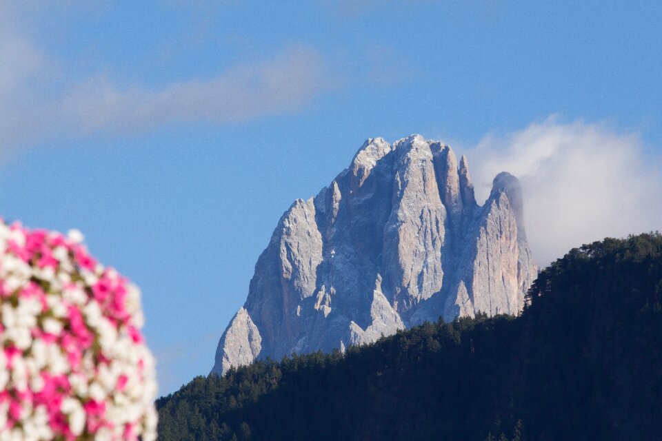 Landscape sassolungo mountain
