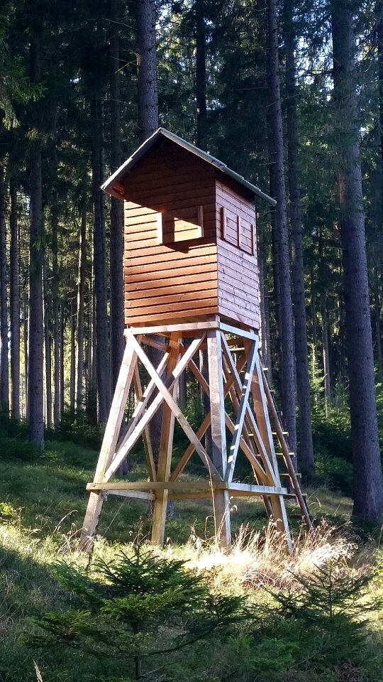 Hunt perch hunting seat