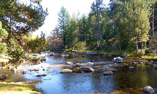 Nature water courses water's edge
