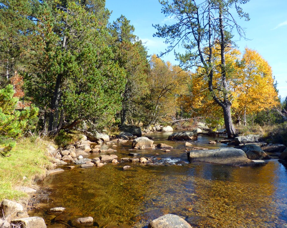 Nature water courses rock