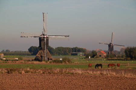 Nature dutch landscape holland