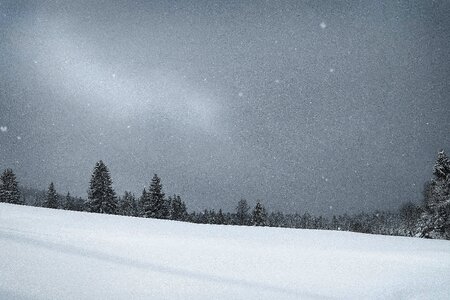 Wintry cold mood