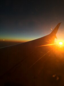 Brown plane brown airplane