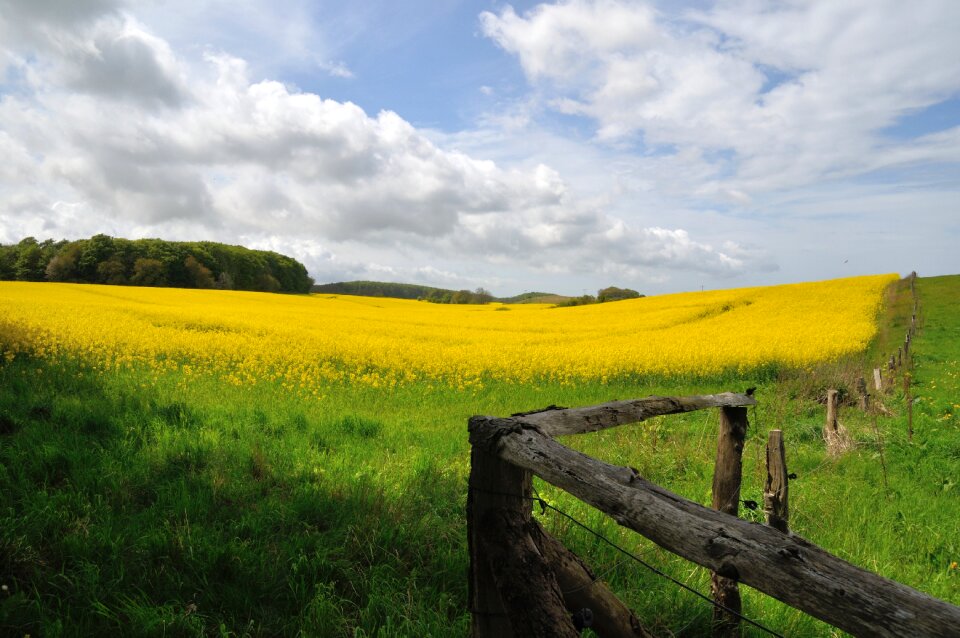 Landscape nature mood