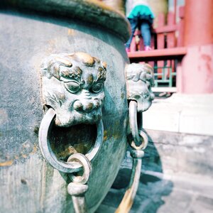 Lion decoration components