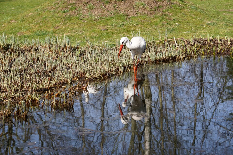 Water intervention nature
