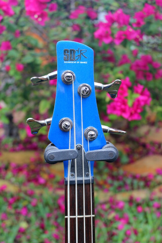 Music musician rock