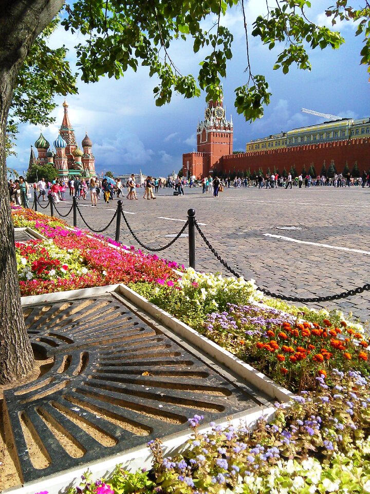 Holy basil cathedral cloudy