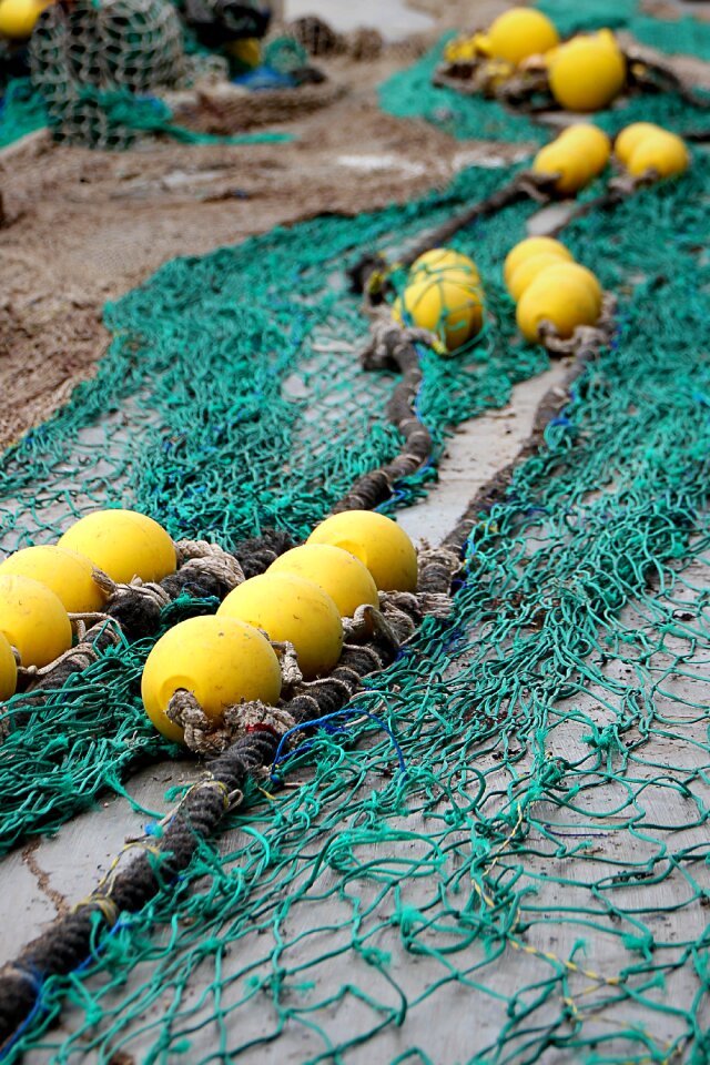 Web safety net dry nets
