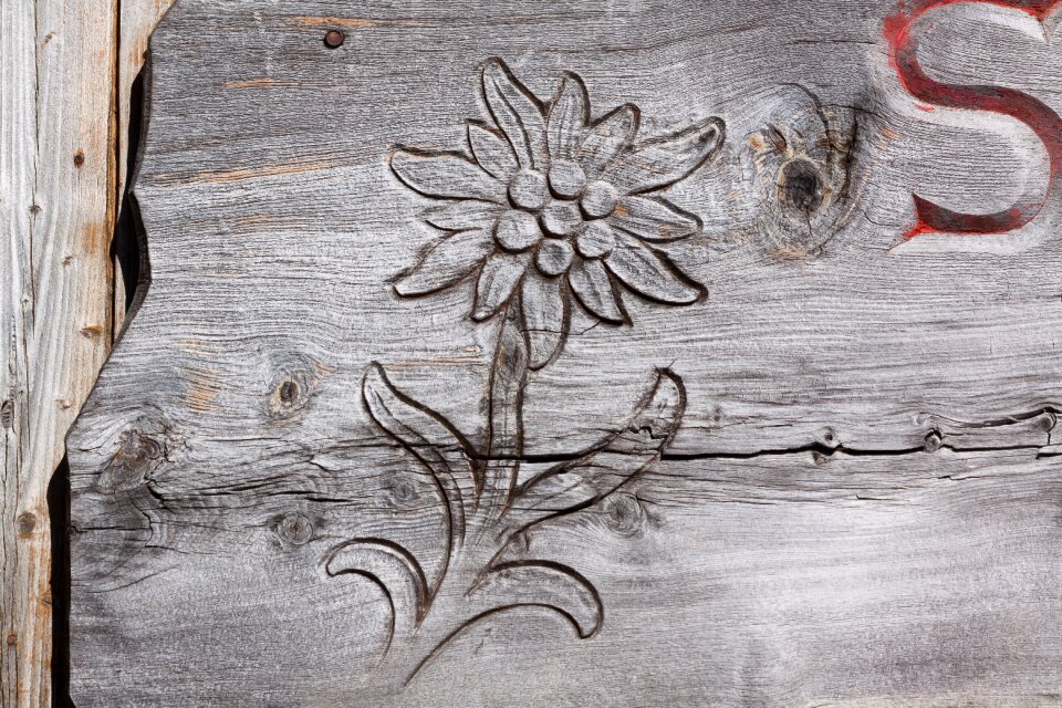 Engraving wood hut