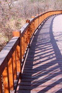 The boardwalk autumn on the outskirts autumn