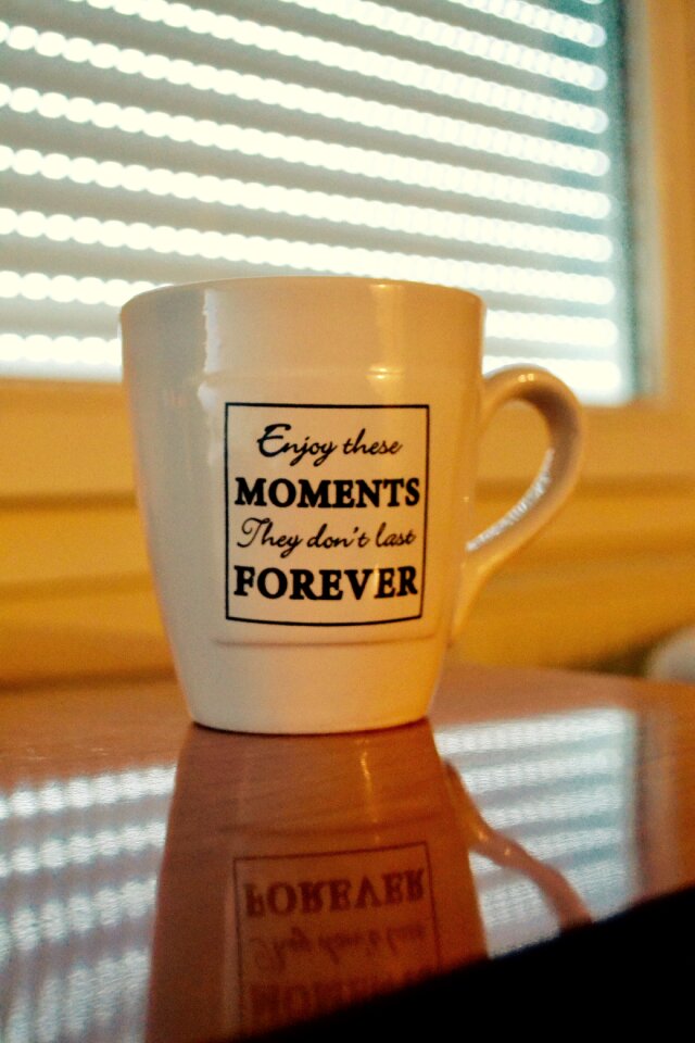 Posts quote enjoy your moments
