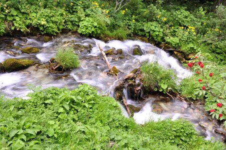 Nature running water flow photo