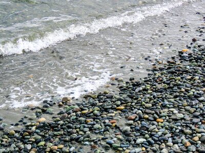 West coast nature relaxation