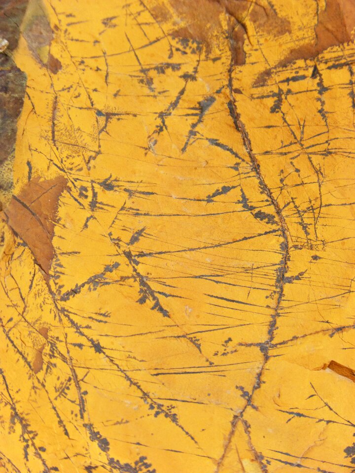 Texture yellow background