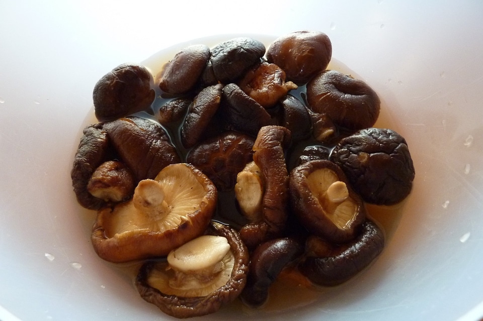 White bowl vegetable