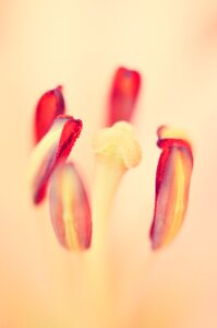 Spring nature soft