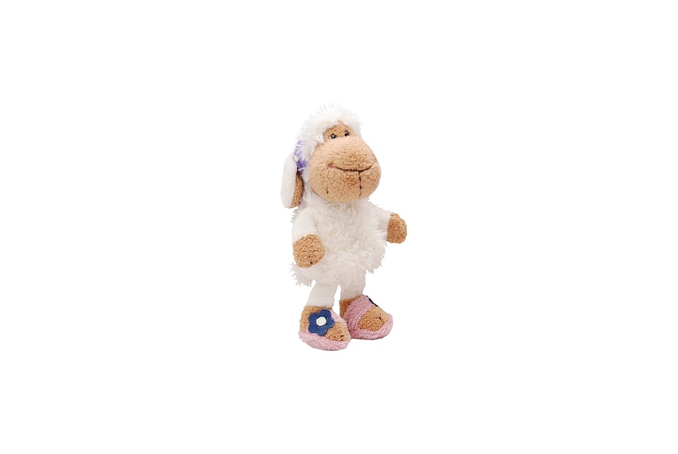 Animal cute isolated