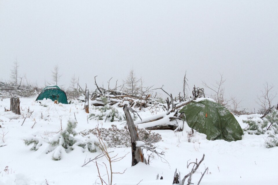 Far east snow trees