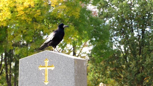 Cemetery stone black