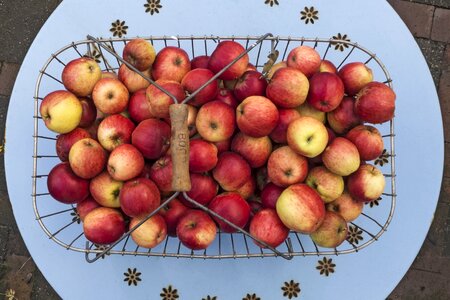 Summer apple fruit healthy photo