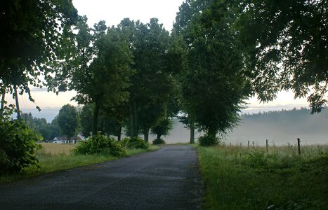 Morning in the morning morning mist