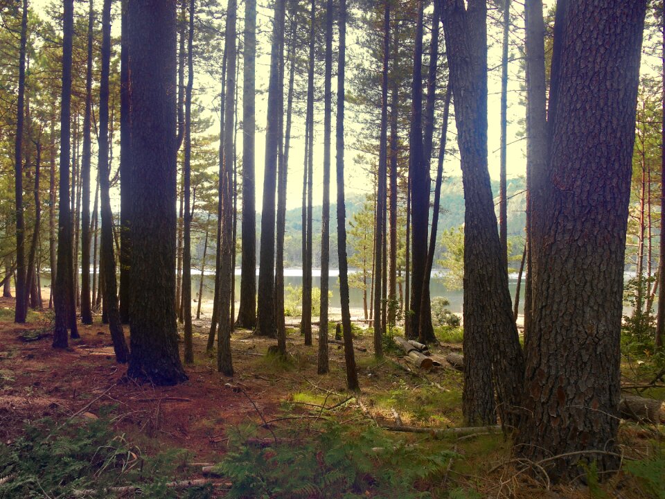 Landscape travel holiday