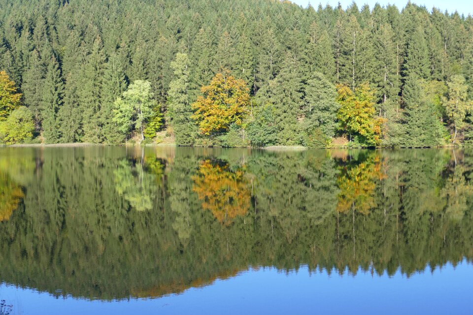 Panorama forest water
