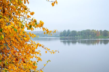 Lake autumn pond pond