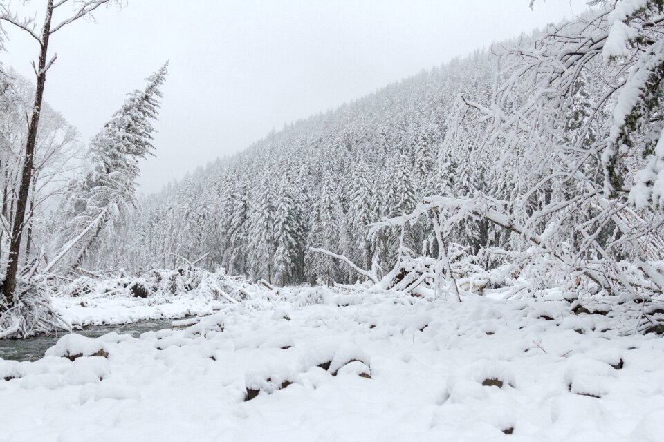 Far east snow winter