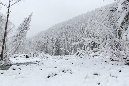 Far east snow winter photo