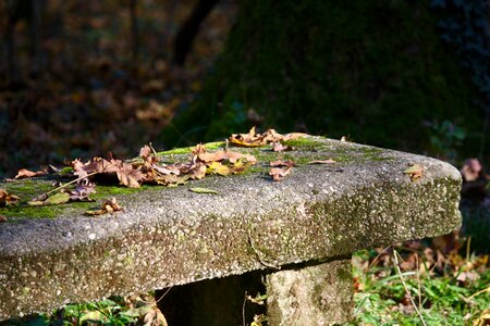 Nature prato garden