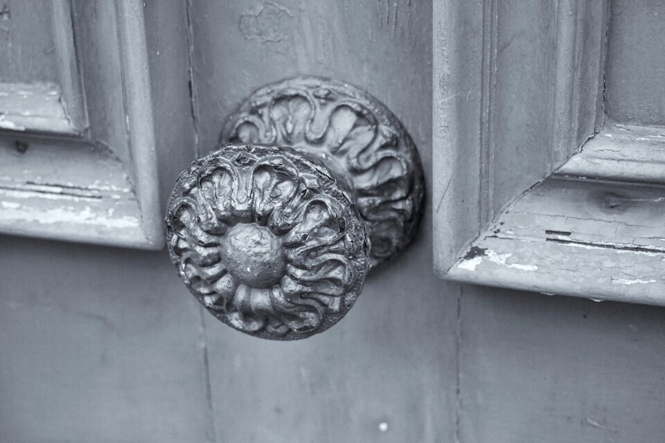 Wooden door door handle entée