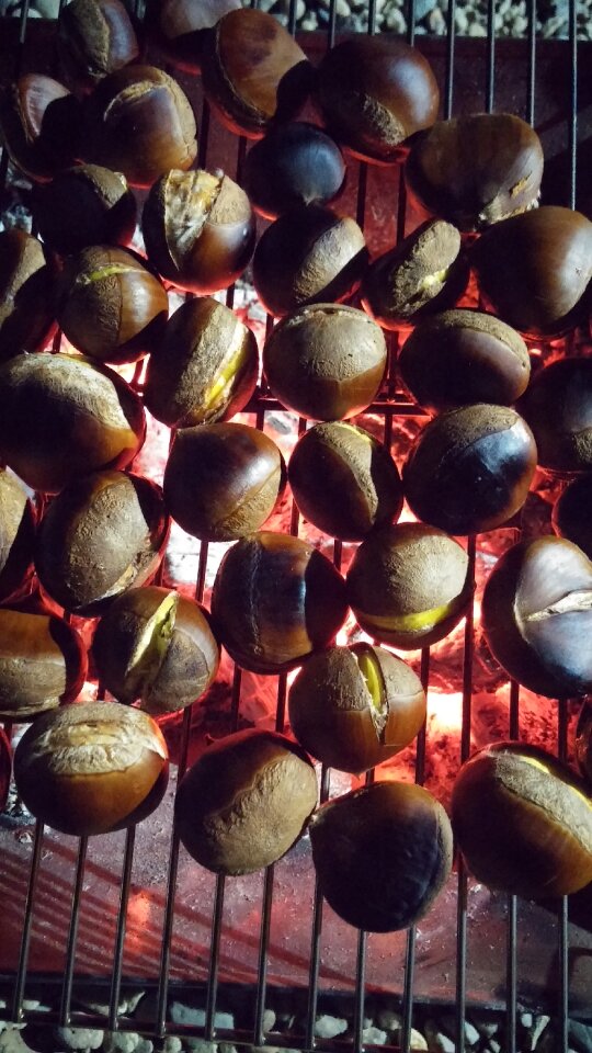 Military night charcoal camping