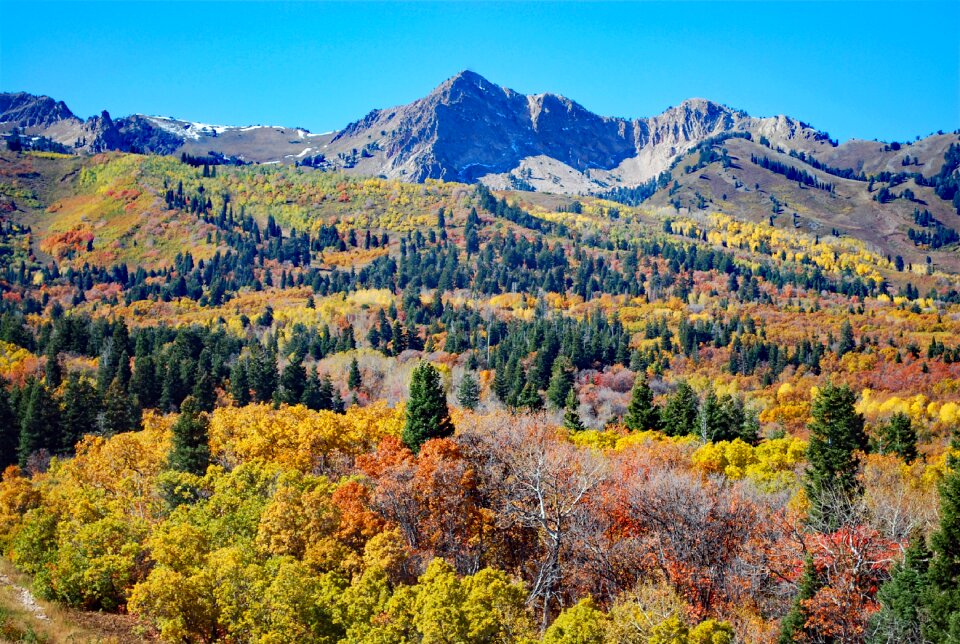 Mountain landscape photo