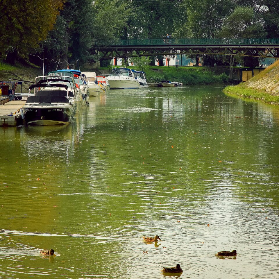 Ships creek esztergom