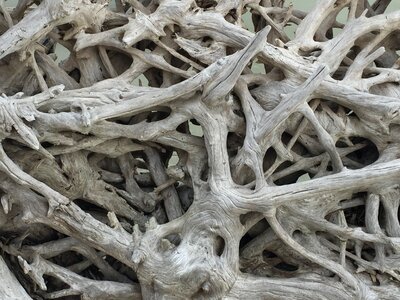 Natural wooden material