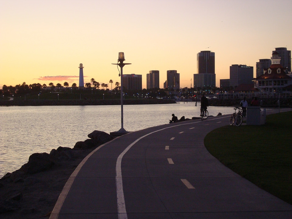 Bicycle path night skyline