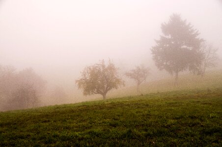 Fog landscape mood