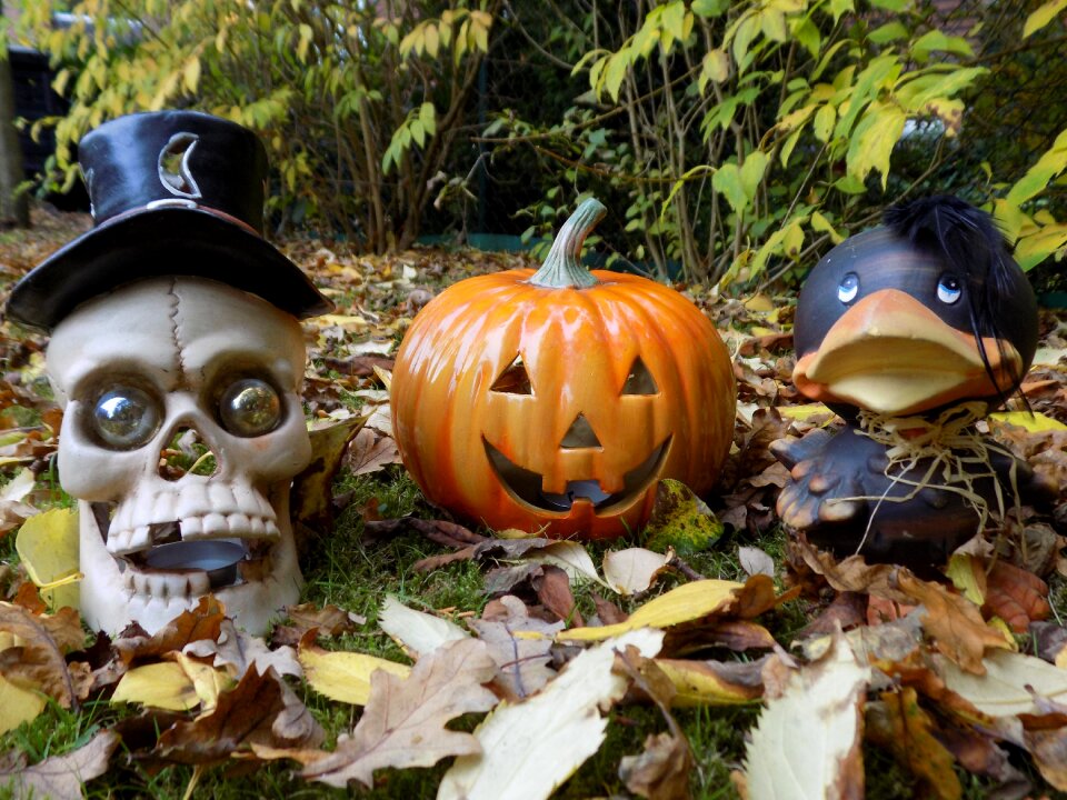 Halloween decoration autumn