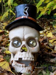 Decoration autumn decorative items