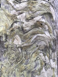 Natural wooden material