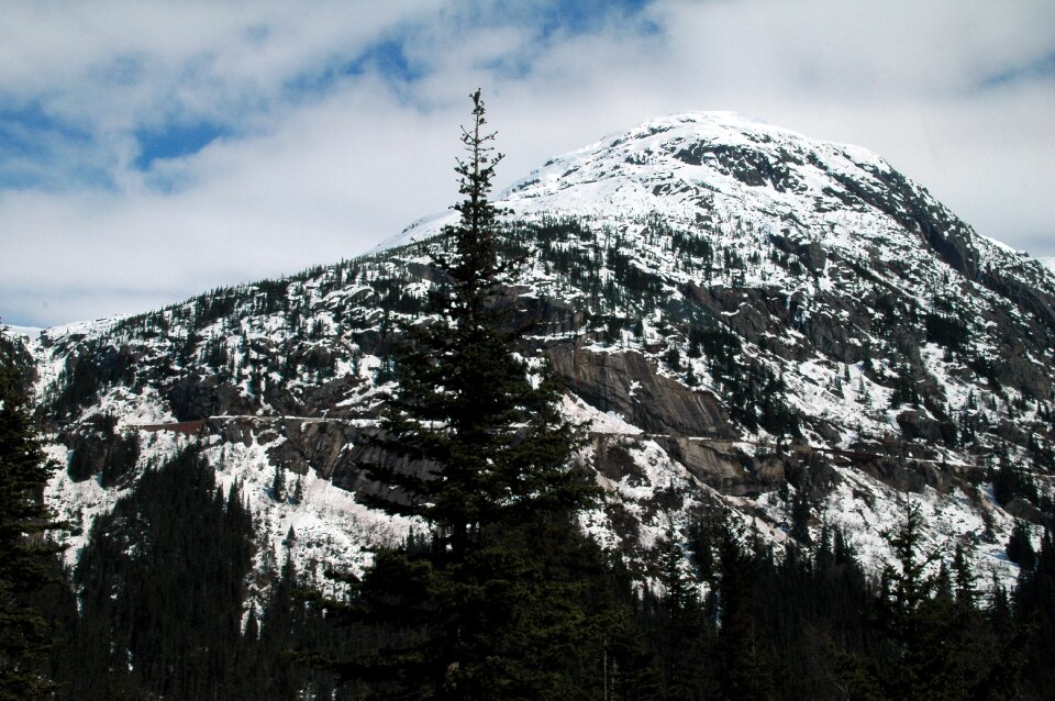 Landscape winter