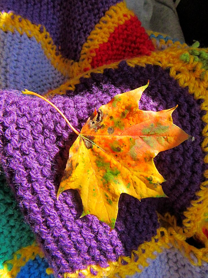 Season cosy blanket